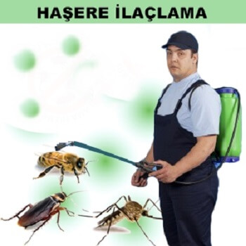 Fatsa Böcek İlaçlama